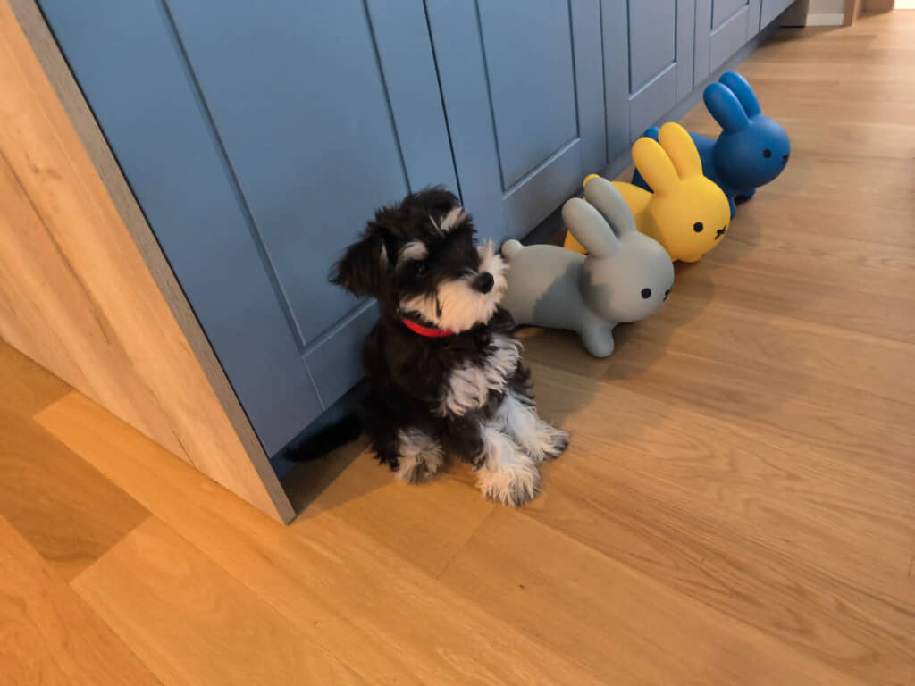 きれいに並んでる！