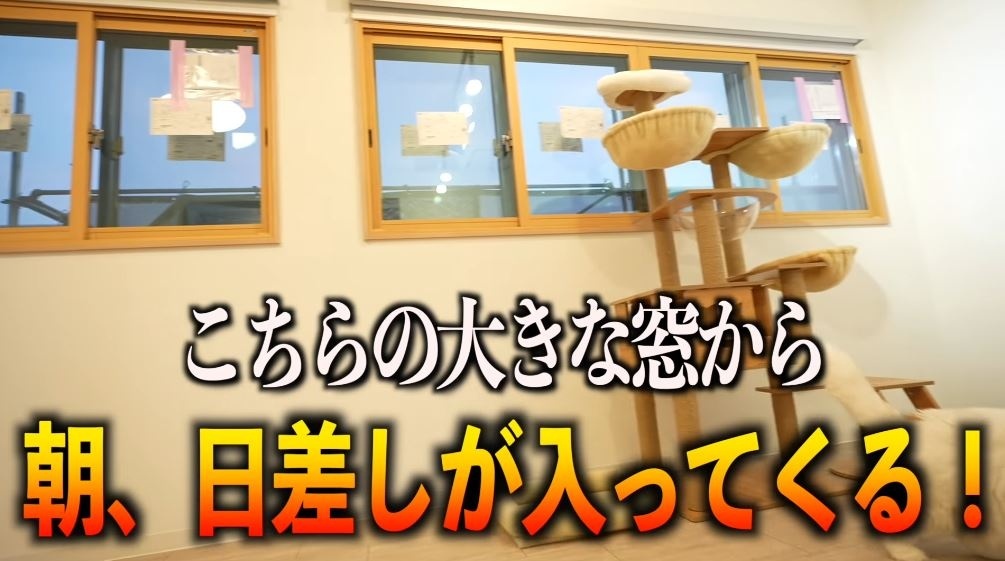 朝日が差し込む