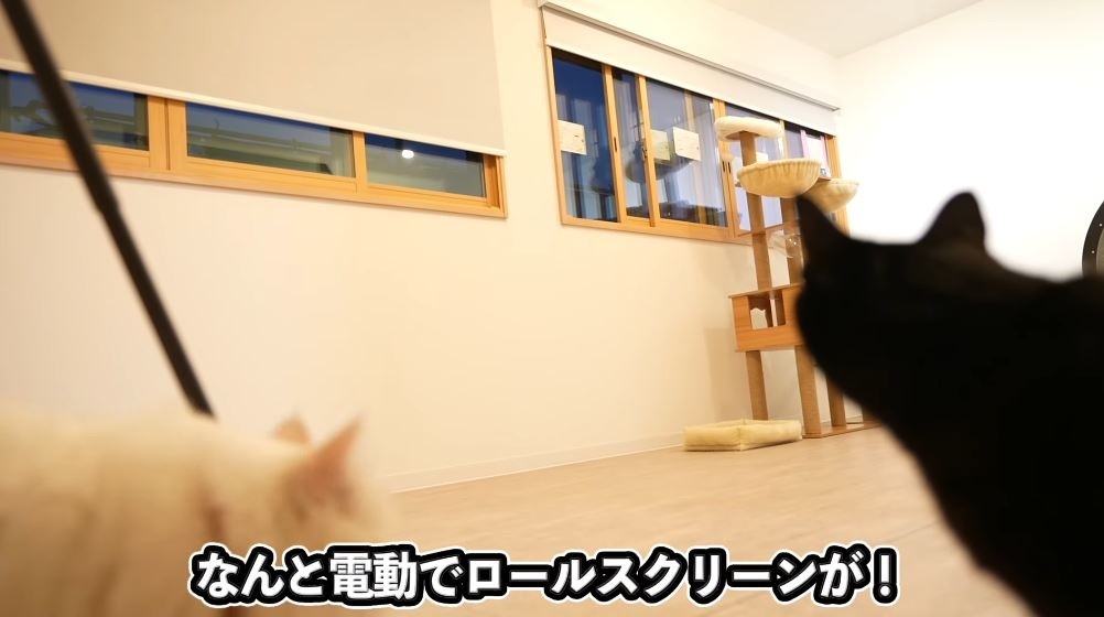 ロールスクリーン