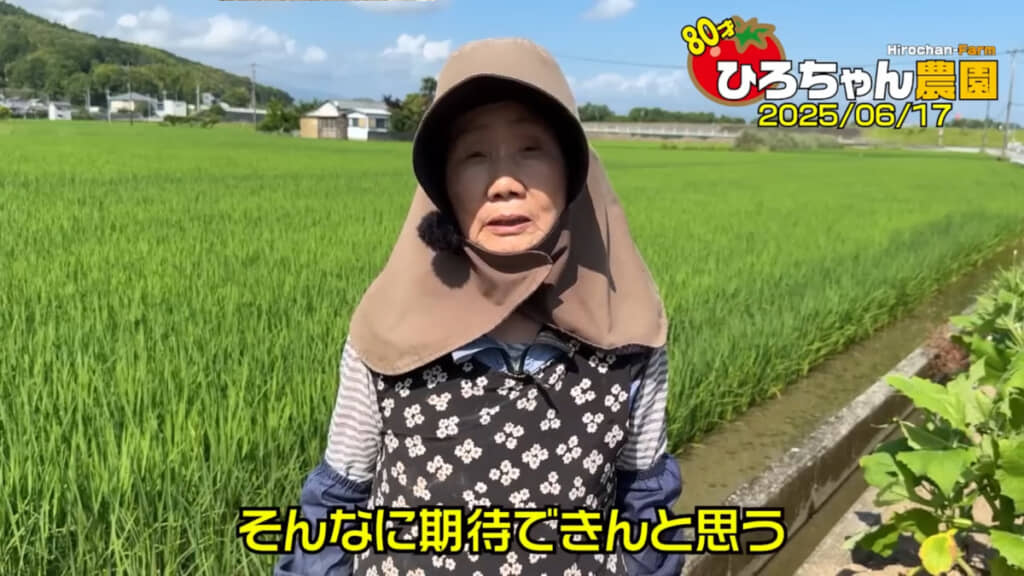ジャガイモの収穫量は「そんなに期待できない」とひろちゃんさん