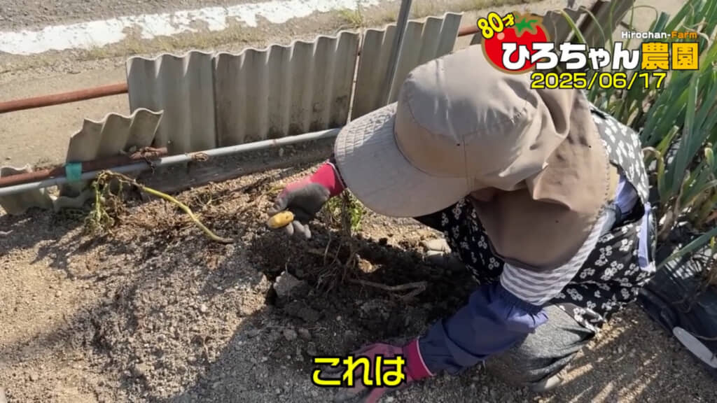 掘ってみると……？