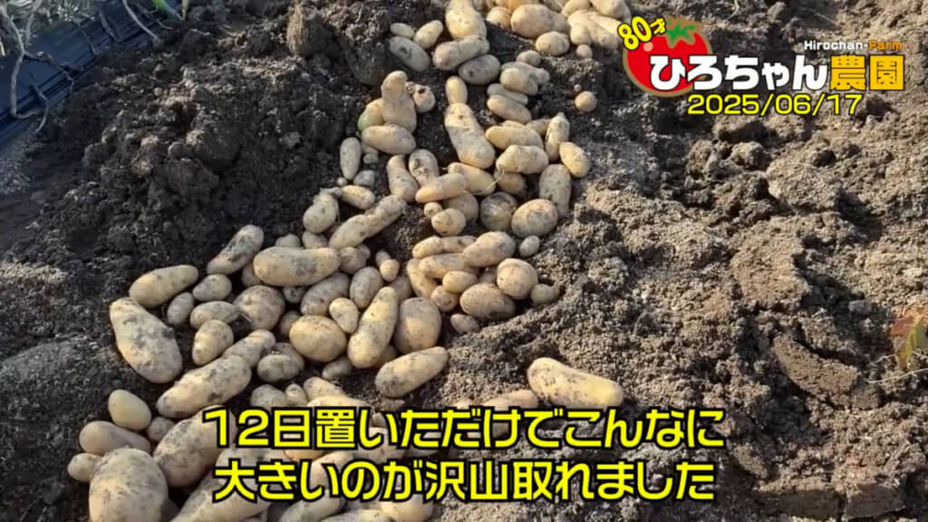 これは嬉しい！