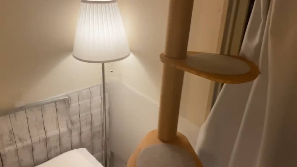 キャットタワーと、爪とぎ対策として壁に貼られたプラスチックダンボール