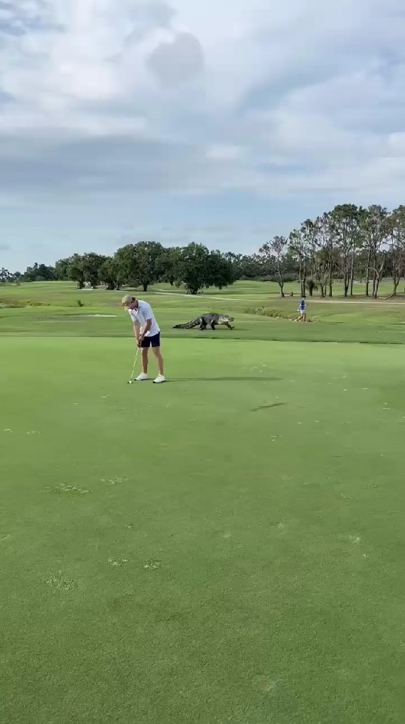 何気ないゴルフ風景かと思いきや……