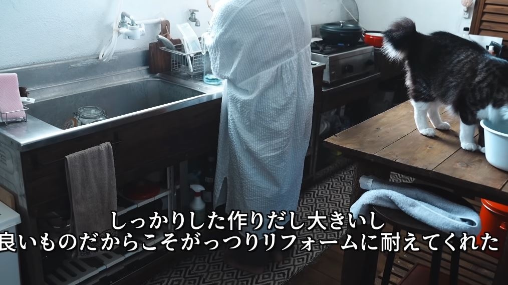 大きな作りのシンク下はオープンに