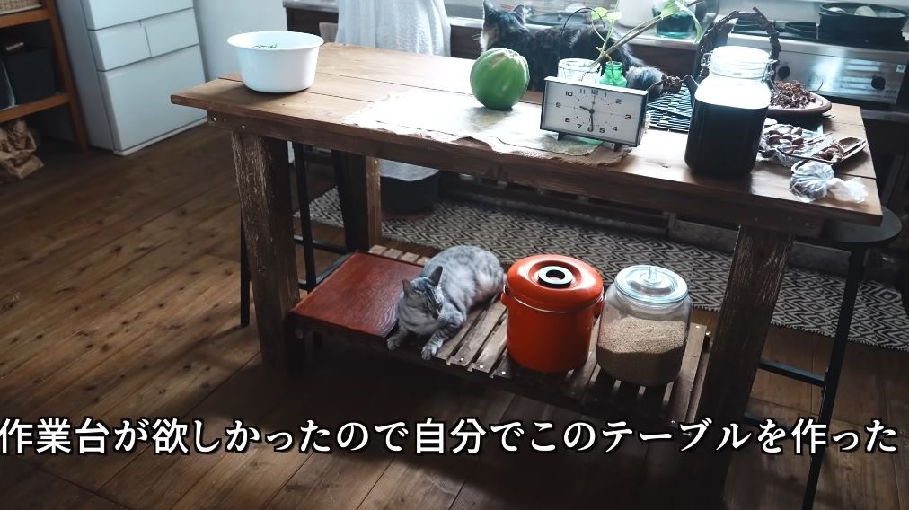 自作した作業台は猫ちゃんもお気に入り
