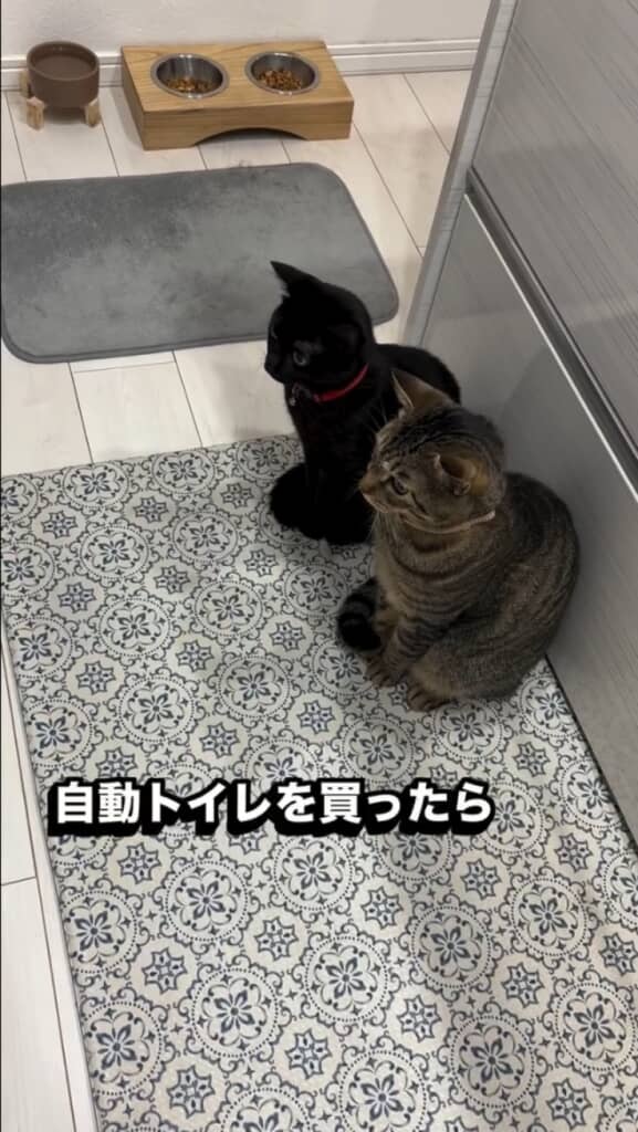 自動トイレを見た反応