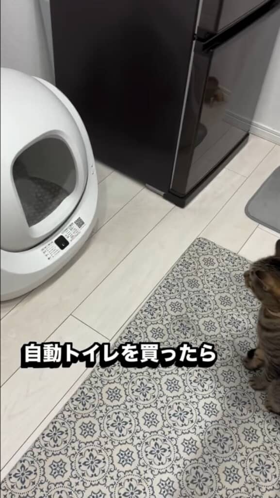自動トイレを見た反応