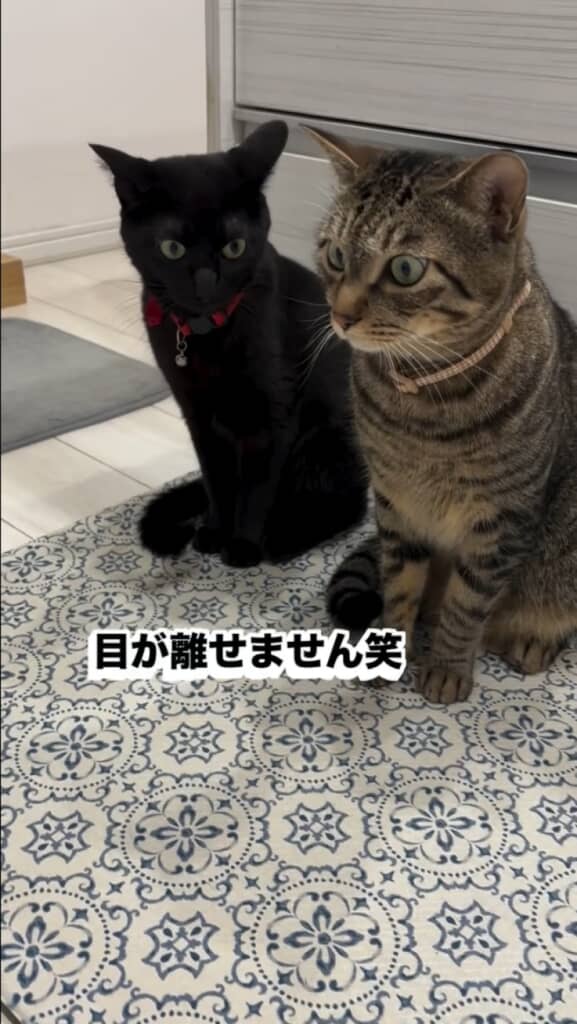 自動トイレを見た反応