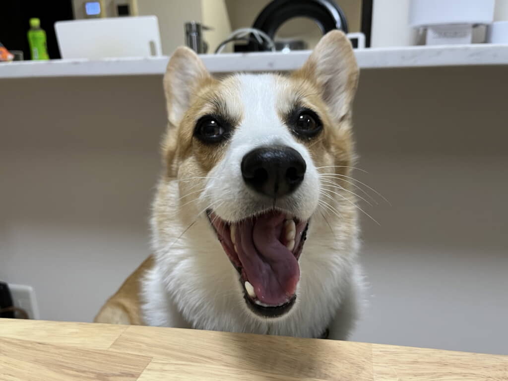 最高の笑顔！