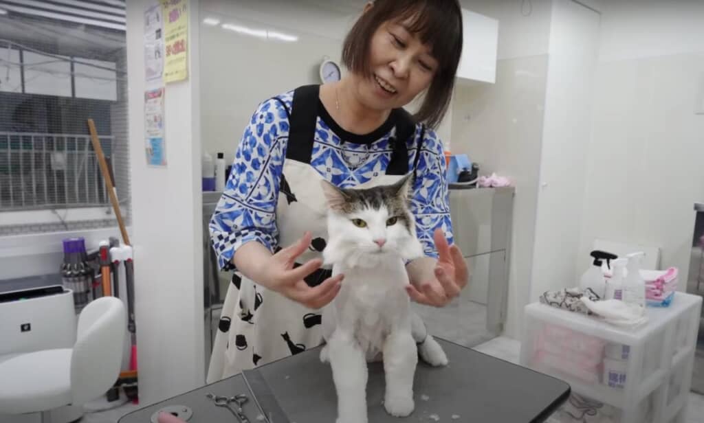 すてきなラインオンカットの完成！