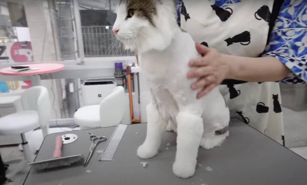 足元は長めのブーツカットでおしゃれに