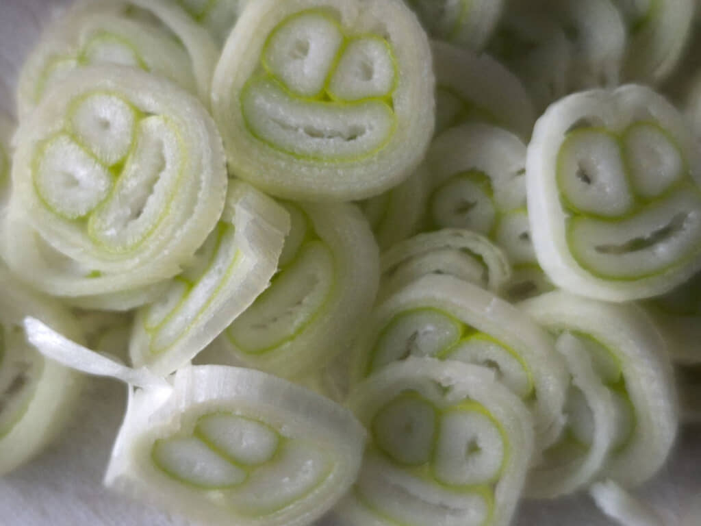 ネギから金太郎飴のように現れた無数の笑顔