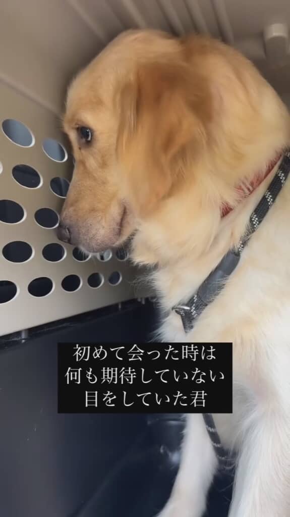 心を閉ざしていたラスクちゃん