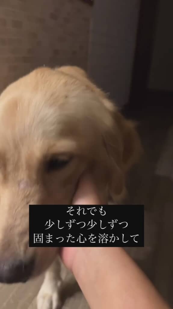 少しずつ少しずつ……