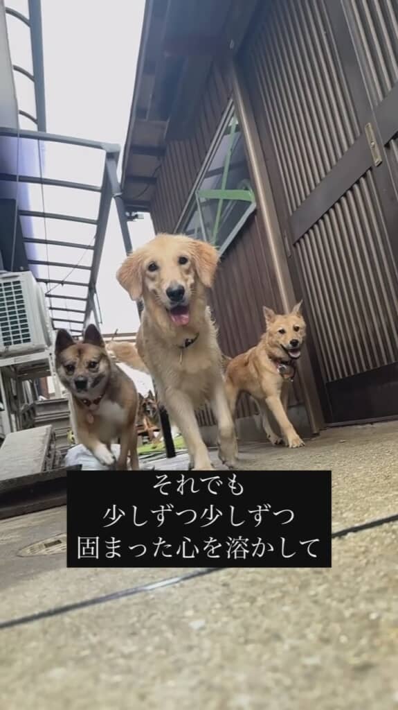 みんなと遊んで笑顔が浮かぶように！