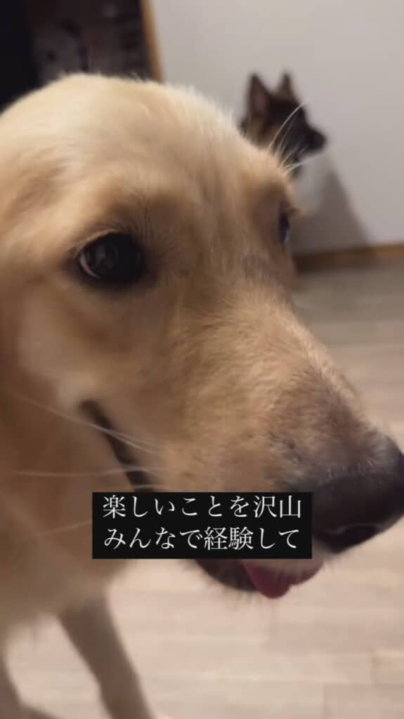 こんなおだやかなほほ笑みが……