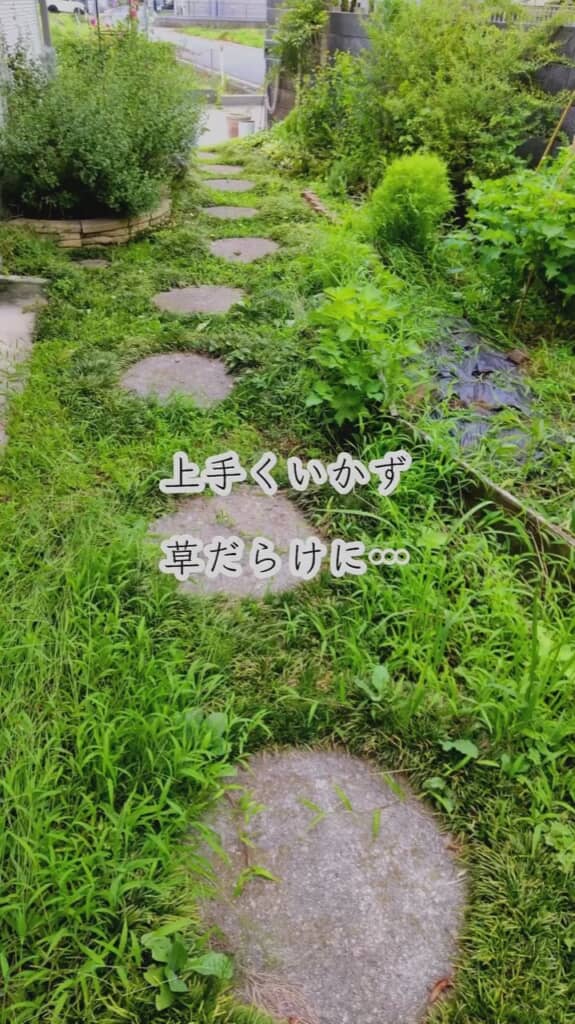草だらけになってしまった庭……