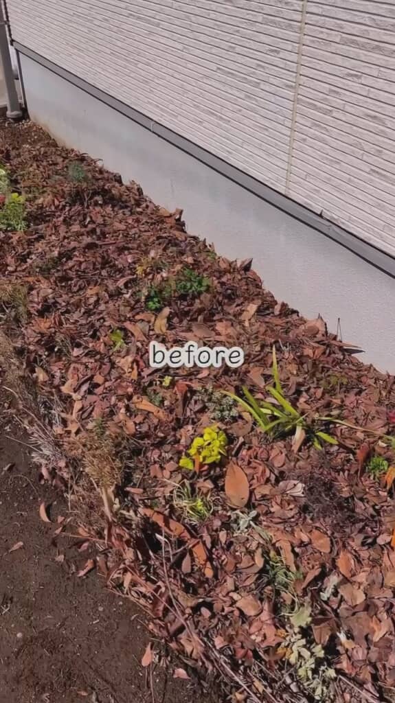 緑少ないこの場所には