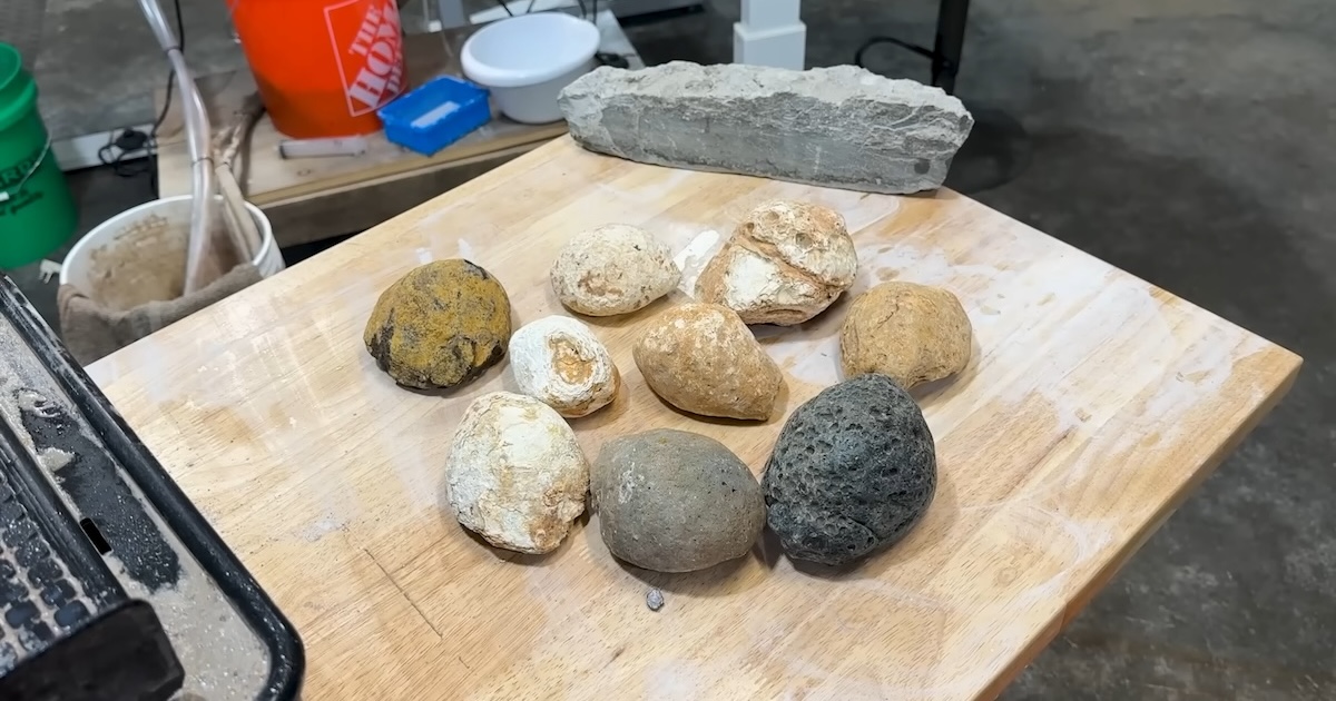 ありふれた石ころ→切り開いてみると……「信じられない」 想定外の