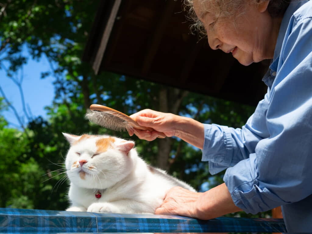ごきげんメイちゃん