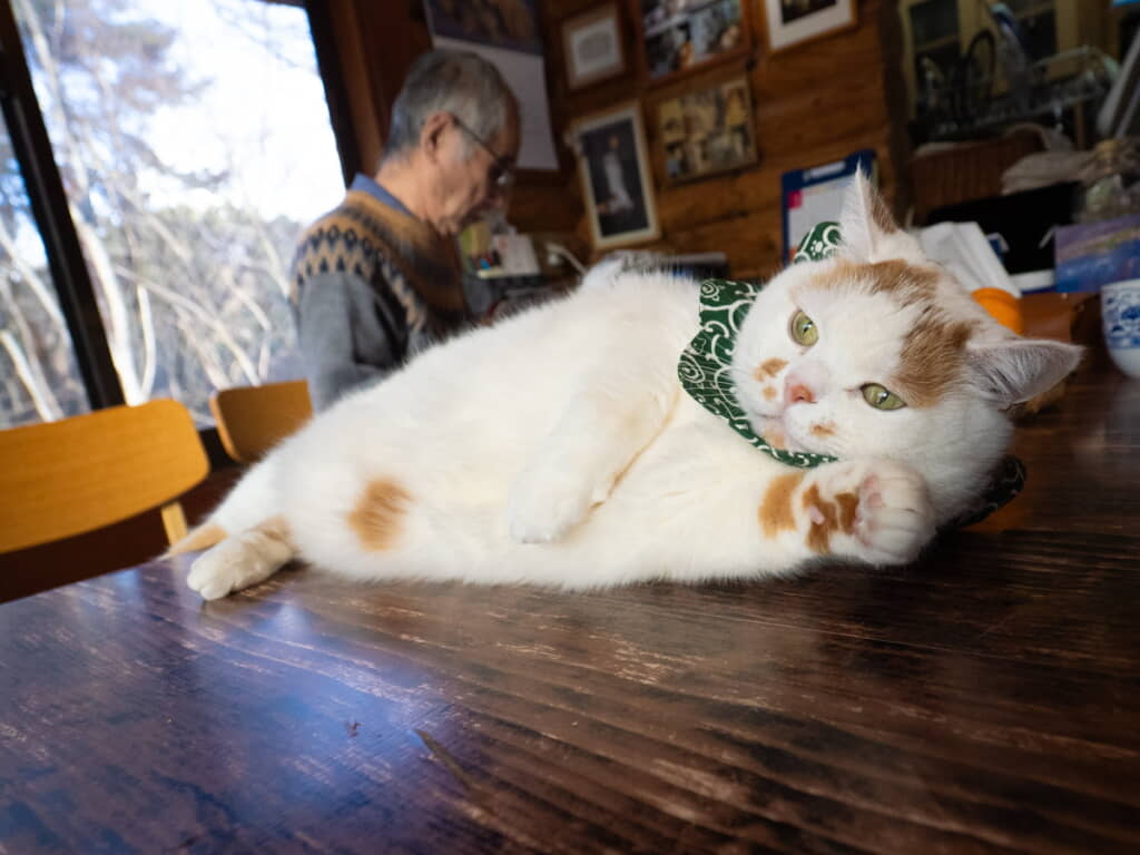 ときにはアザラシとなることも