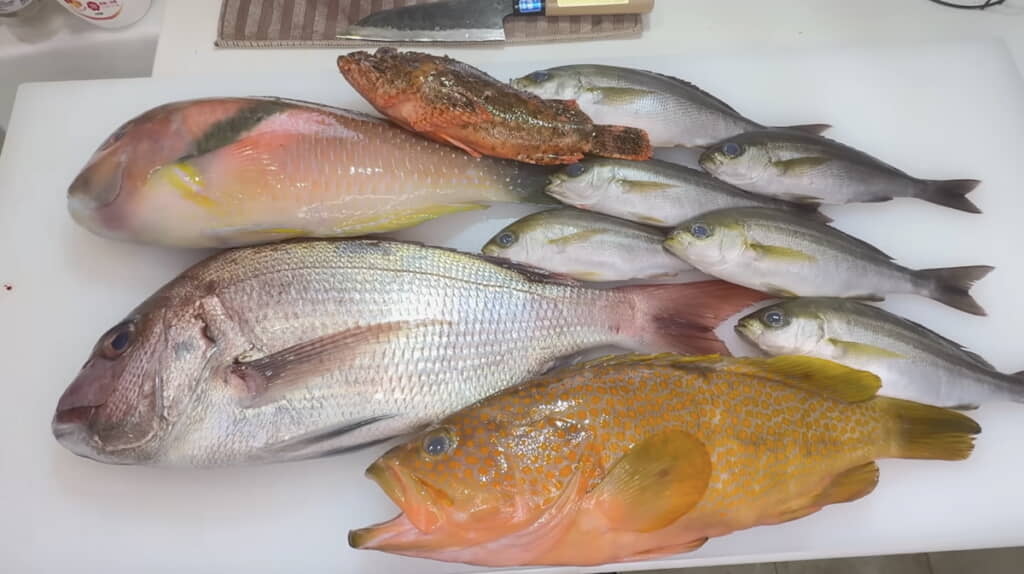 釣果の一部。釣った魚のうち、マダイ1匹、イサキ数匹、オオモンハタはいとこに譲ったとのこと
