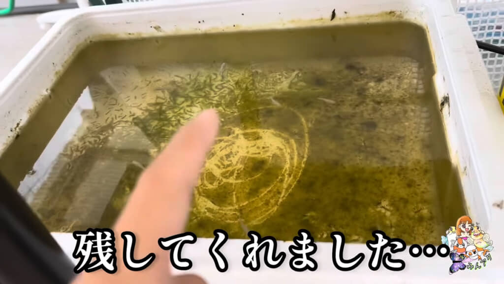 幸い、子孫を残してくれていました