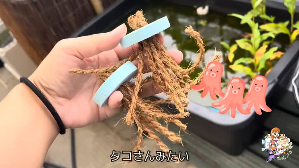 
手作りの産卵床、果たして卵を産んでくれるでしょうか