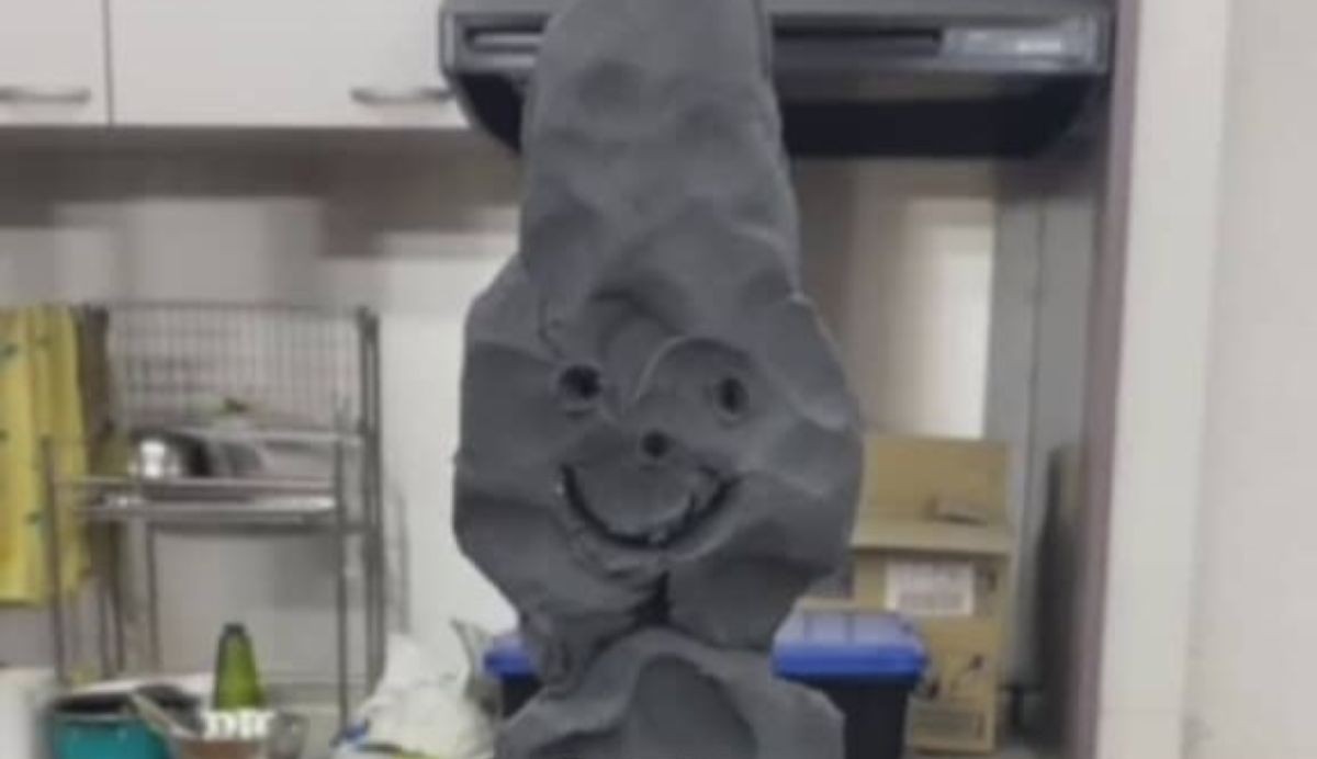 そうはならんやろ！　生後6カ月を迎えた息子のため、パパが彫刻を作ったら……「すげえええ」　想像もつかない“完成品”に反響（1/2） | 育児 ねとらぼ