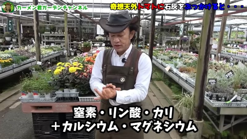 植物に欠かせない栄養として窒素とリン、カリウム、カルシウム、マグネシウムの名前を挙げる