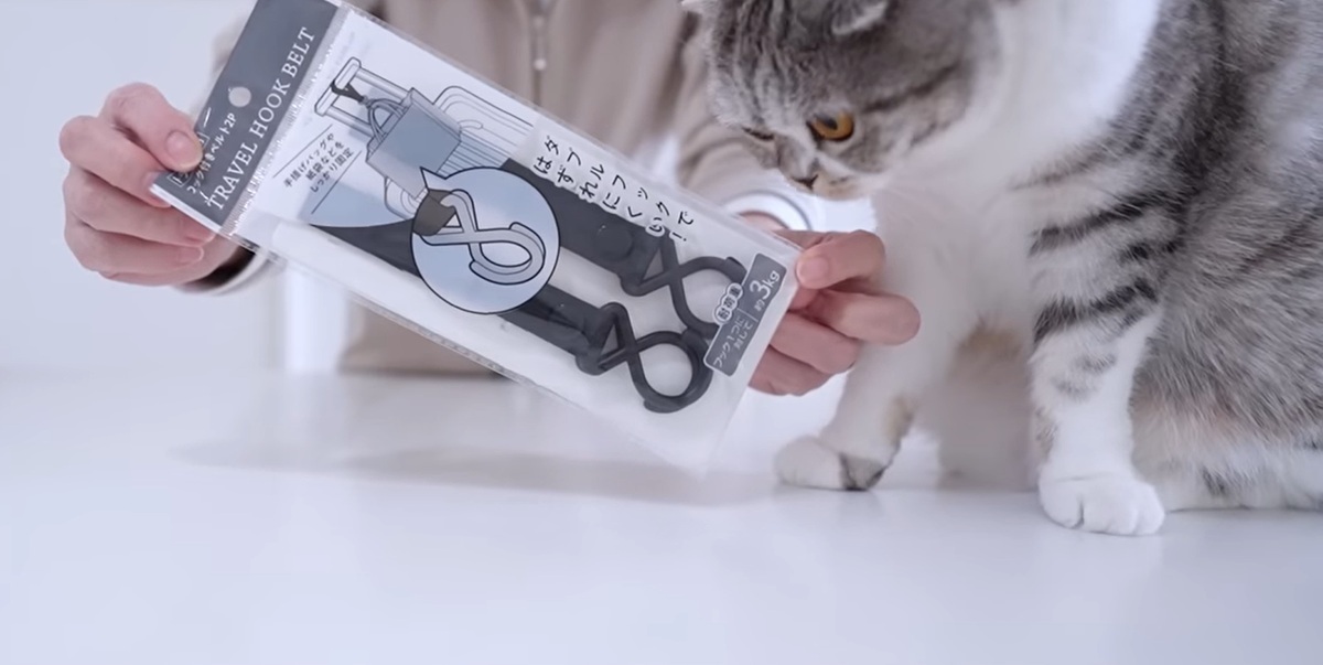 【100均行く前に見て！】買って大正解、整理収納アドバイザーおすすめのアイデアグッズ10選が目からウロコ【2025年上半期ベストバイ】（1/3） | ライフスタイル ねとらぼ