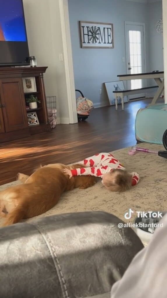 赤ちゃんと犬