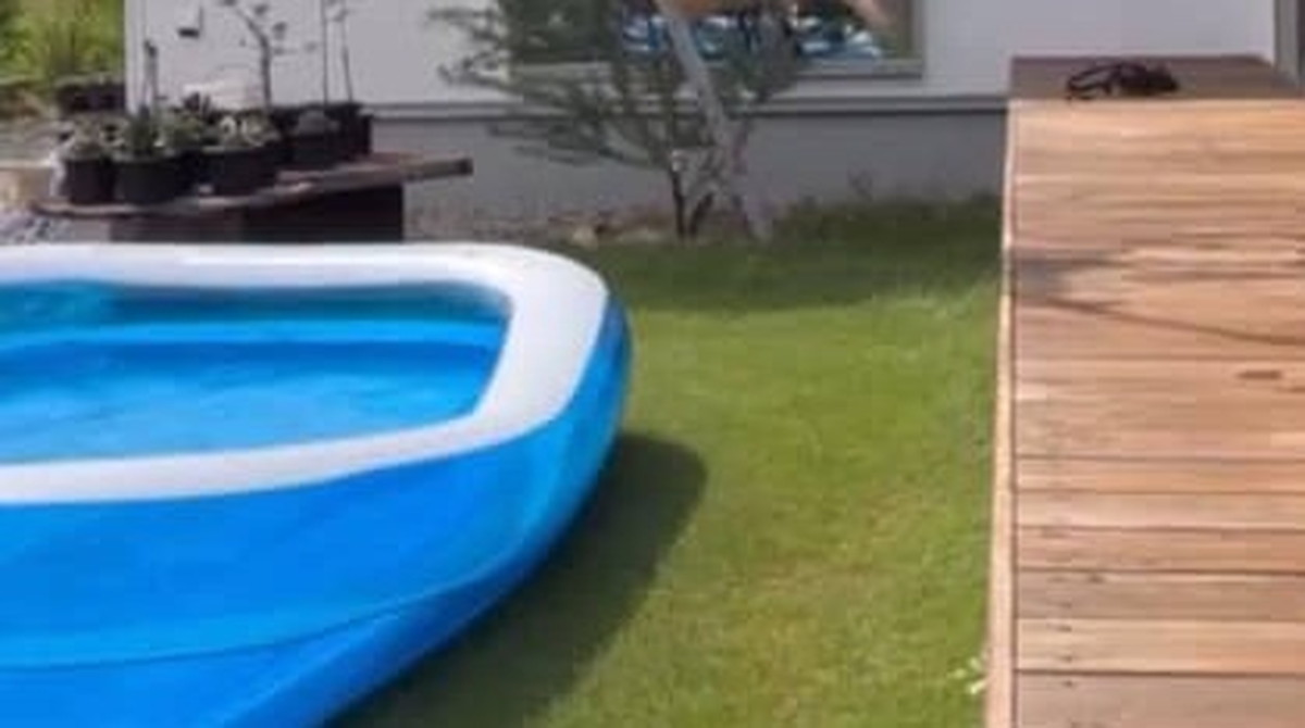 訪れた友人が皆「羨ましい……」と驚がくした“極上の庭”　「最高」夢のような光景にうっとり「癒やし空間」（1/3） | ライフハック ねとらぼ