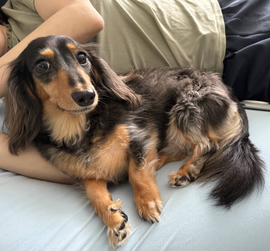 ママとドヤ顔でお昼寝中
