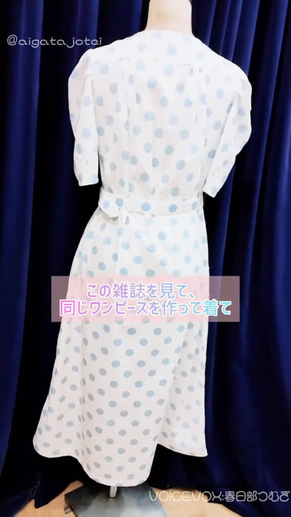 レトロなワンピース、後ろから見たところ