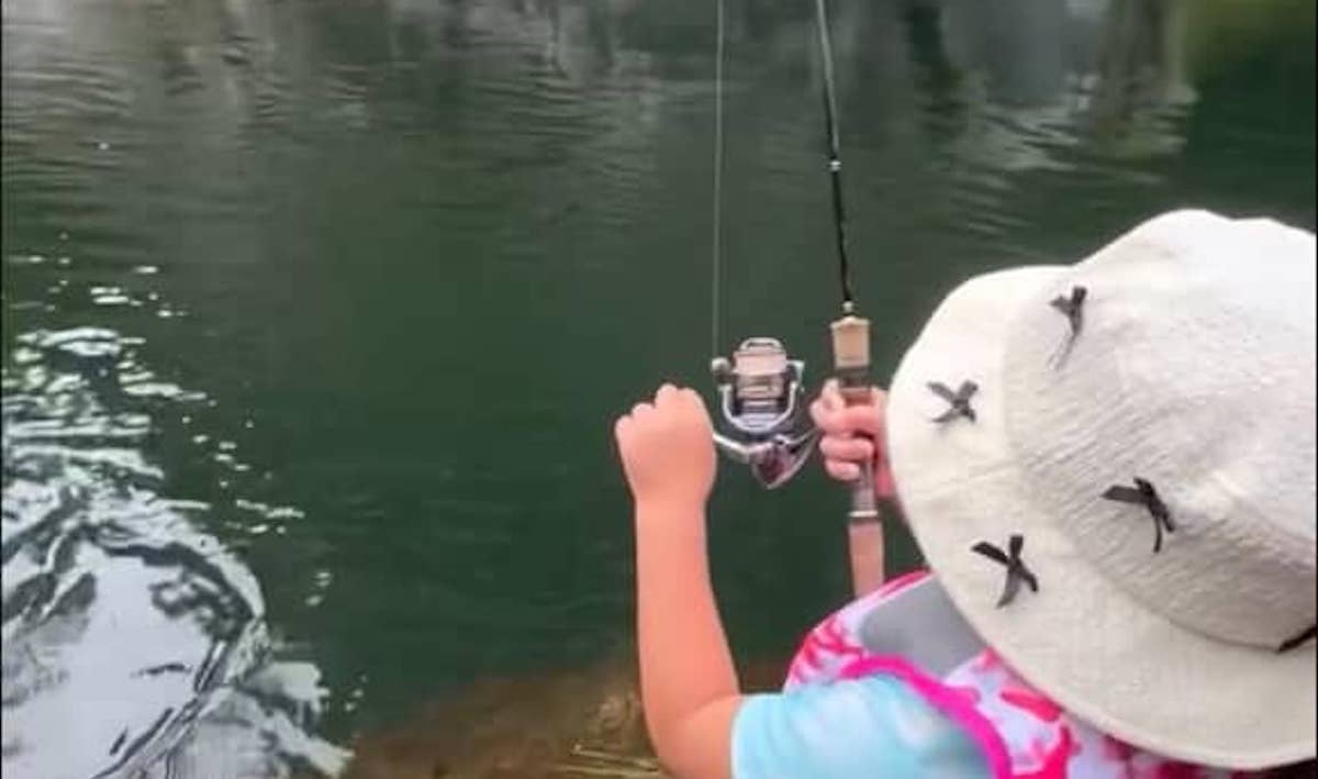 娘が初めて“渓流釣り”に挑戦したら……　“まさかの超大物”にパパ大興奮で230万再生　「お見事」「マジで感動」（1/2） | ライフスタイル ねとらぼ