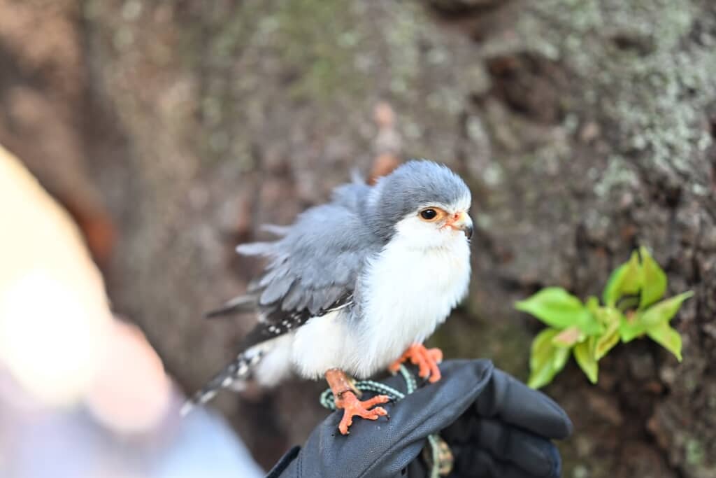 おめめキラキラです