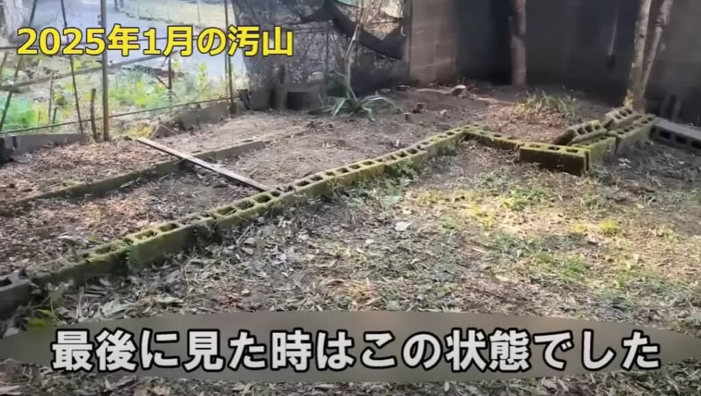 最後（1月）に見た状態