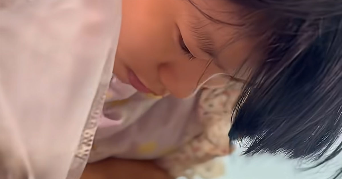 「12歳の子が作ったなんて」　少女が頑張って仕上げたクッキーボックス　あまりの完成度に「天才すぎる」「売ってたら即買い」（1/3） | グルメ ねとらぼ