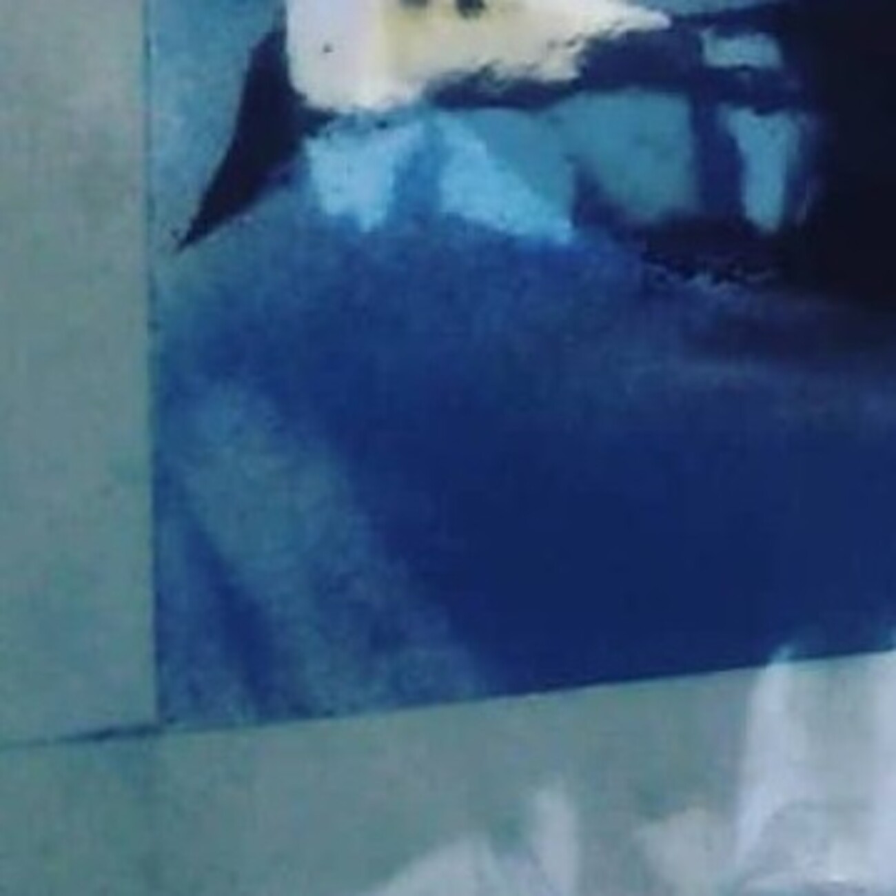 絵画教室の先生「描きなおして」→小1娘「これでいい」　固い意思を貫いた“イルカの絵”に感動「ラッセンより好き」（1/2） | 絵画 ねとらぼ