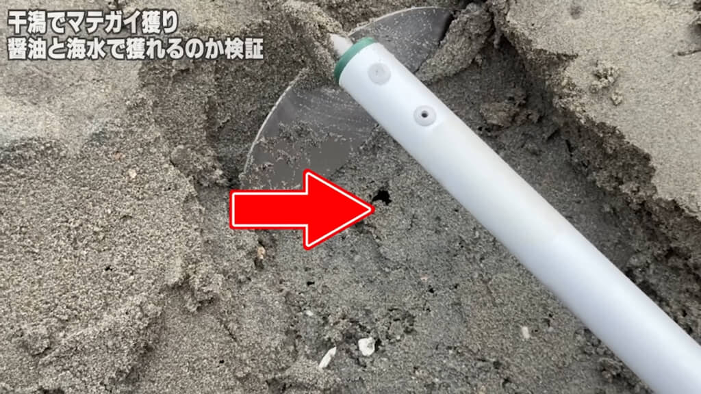 こちらがマテガイの穴なのだとか