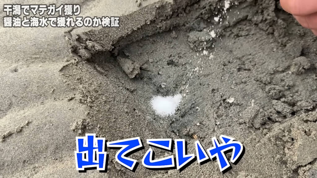 塩を入れてみると……