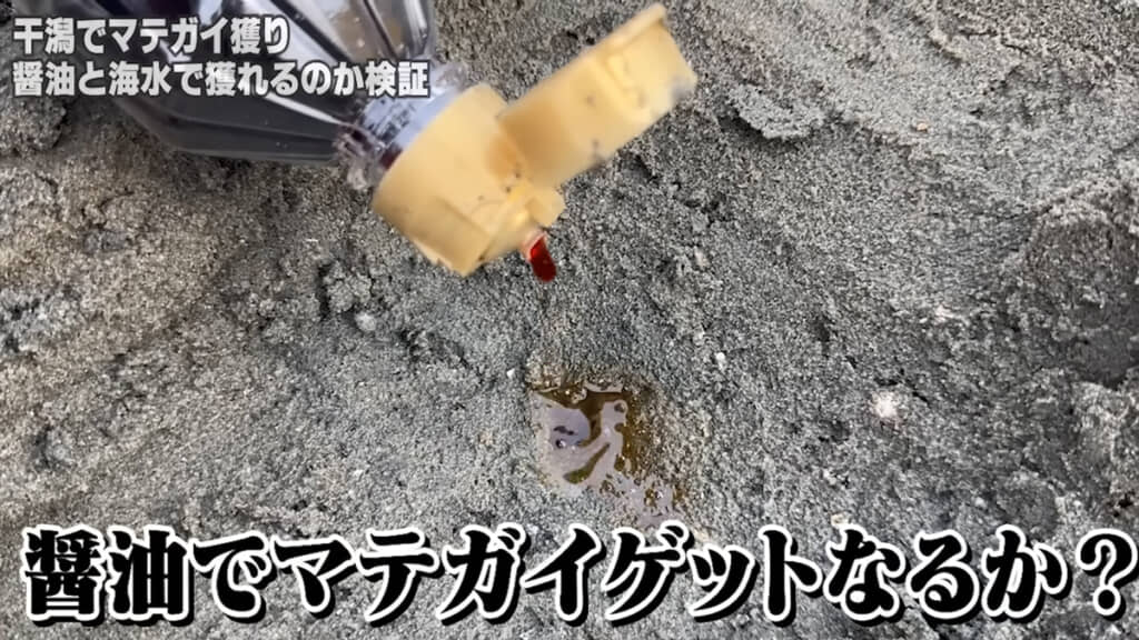 マテガイの穴に醤油を垂らしてみましたが……