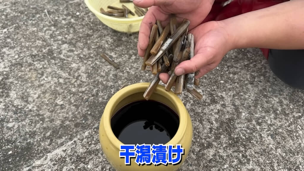 獲れたてのマテガイをタレに漬け込みます