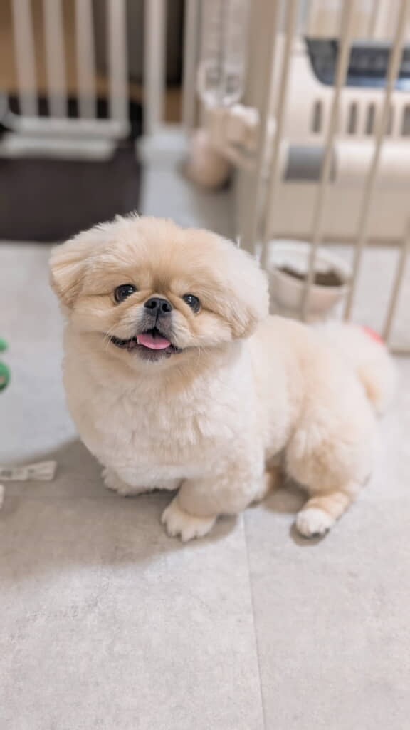 キラキラしているどんきちくん