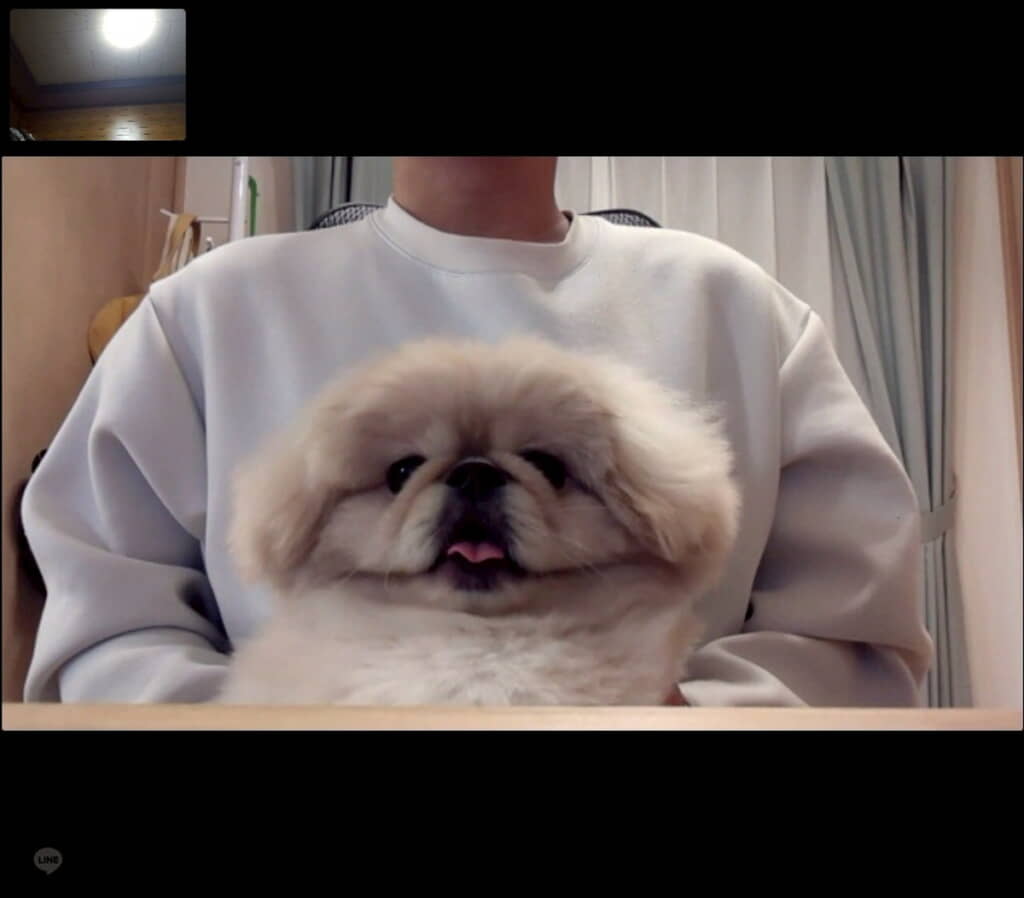 すごいかわいいプリント……？