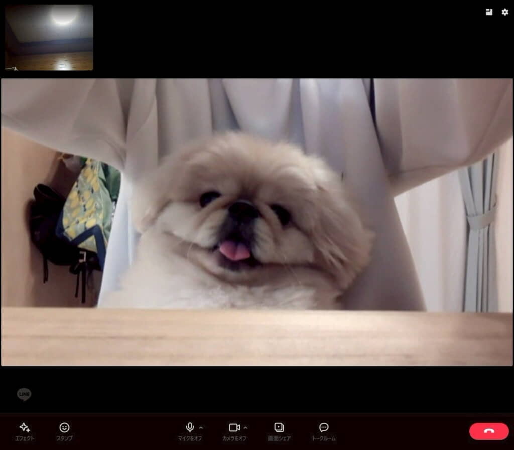 首をかしげてもまだプリントっぽい？