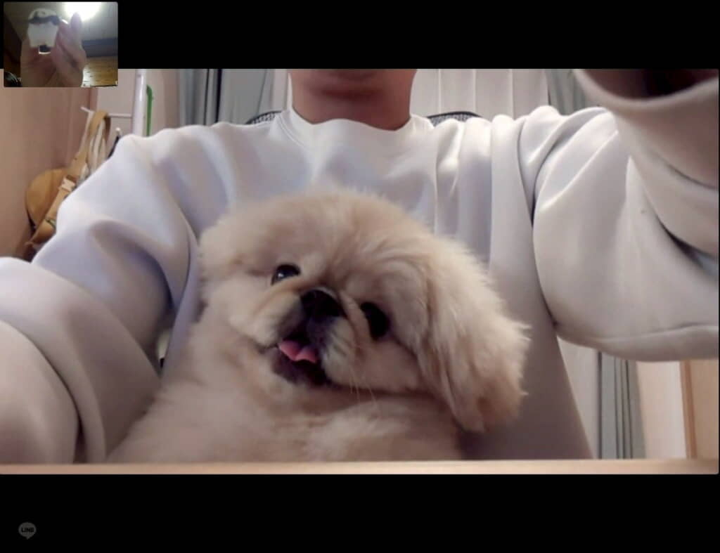 どんきちくんも参加しているみたいです