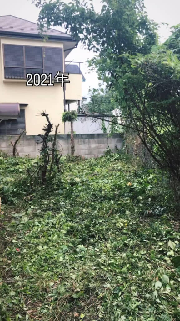 2021年には木々が生い茂っています